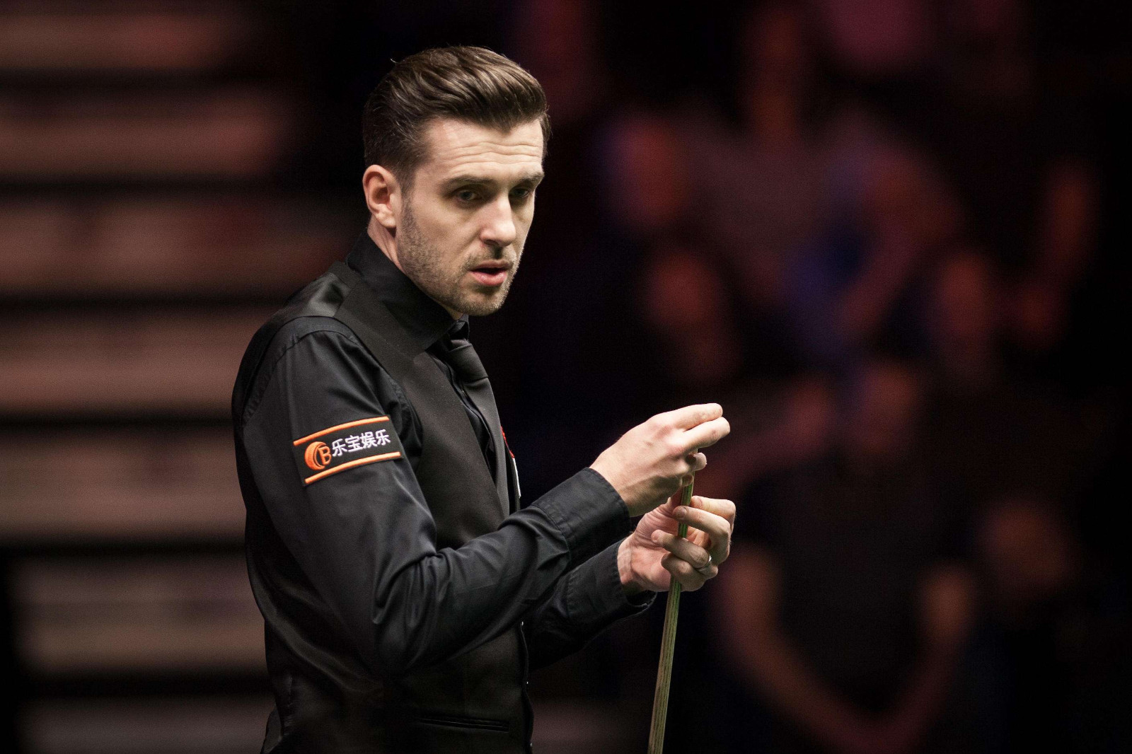 更加多样化 更加多样化